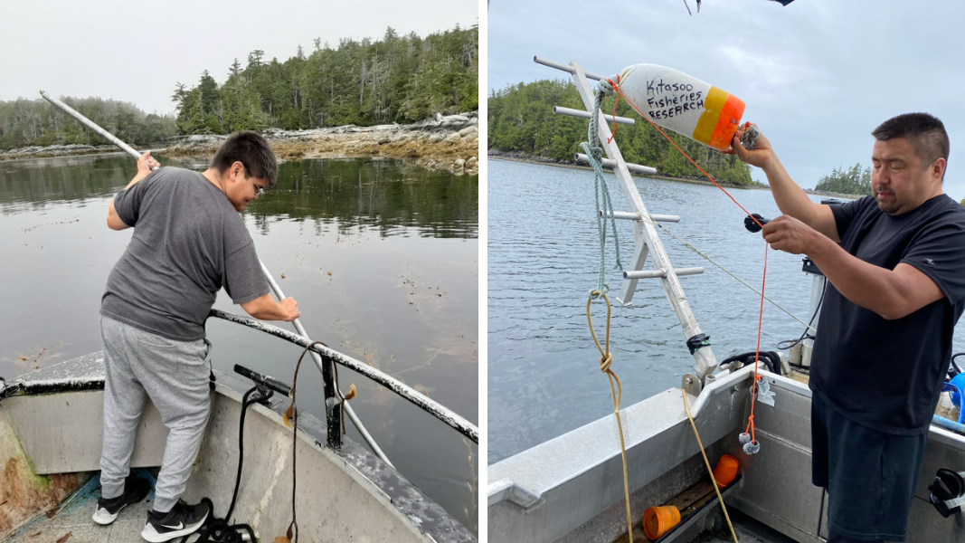 Coastal Guardian Watchmen collect samples and temperatures at the kelp beds. Photos: Doug Newman and Sandie Hankewich