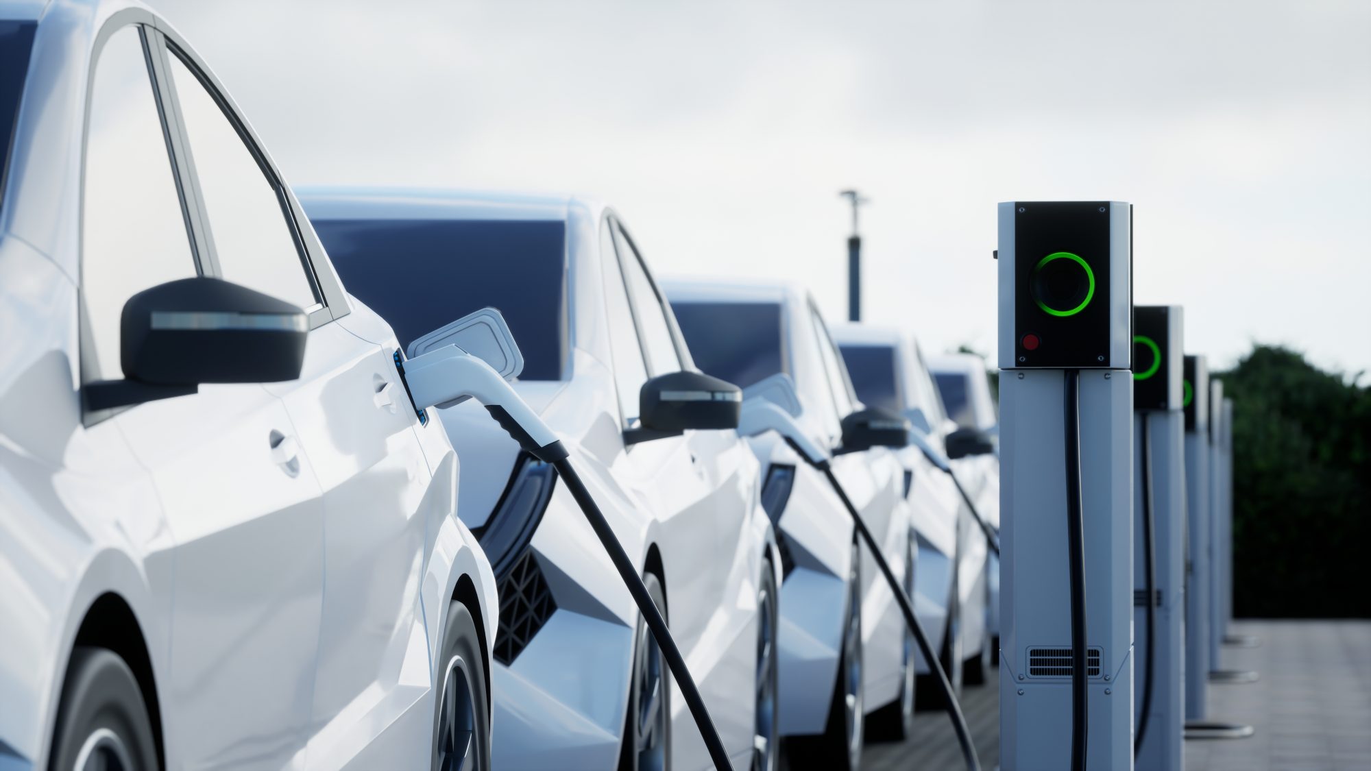 Electric vehicles plugged in.