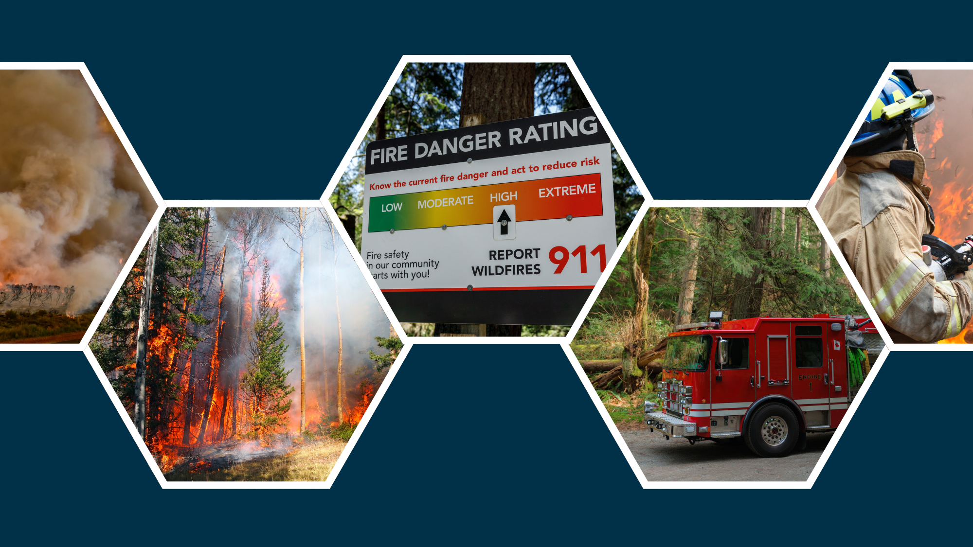 A honeycomb of images of wildfire and its effects