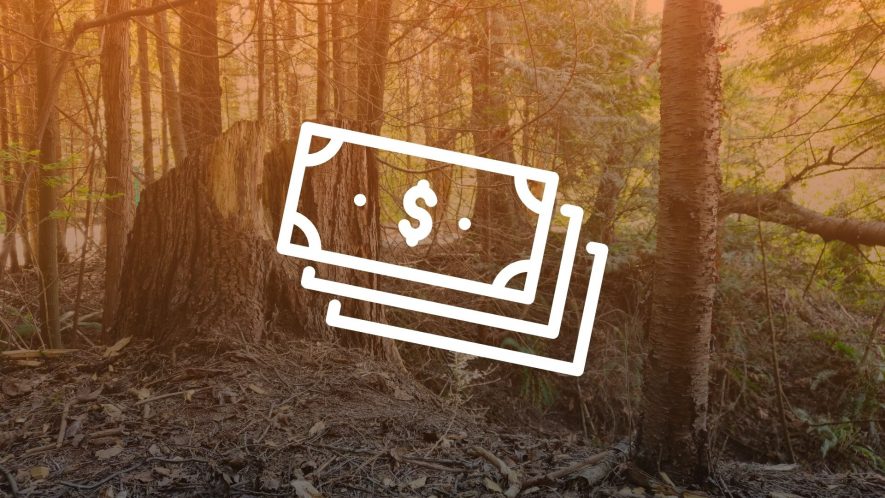 Icon for the 'Capacity Building' section of the Fire Resilience Handbook. Photo of a forest, with an orange gradient over top. An icon of paper bills is overlaid. Photo credit: Gabrielle Wong