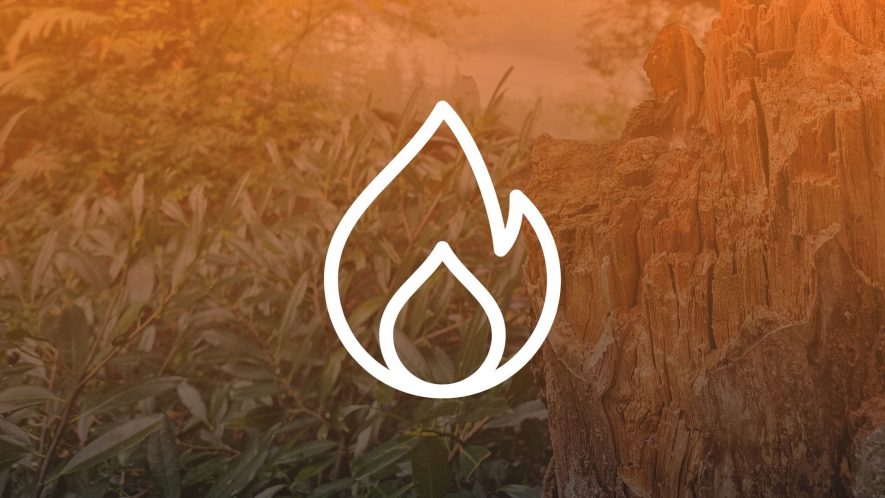 Icon for the 'Fire Primer' section of the Fire Resilience Handbook. Photo shows some vegetation and a tree on Burnaby Mountain, with an orange gradient over top. An icon of a fire is overlaid. Photo credit: Gabrielle Wong