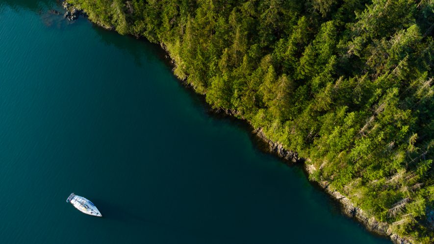 Aerial view of a sailboat in the water beside a piece of land covered in thick forest.