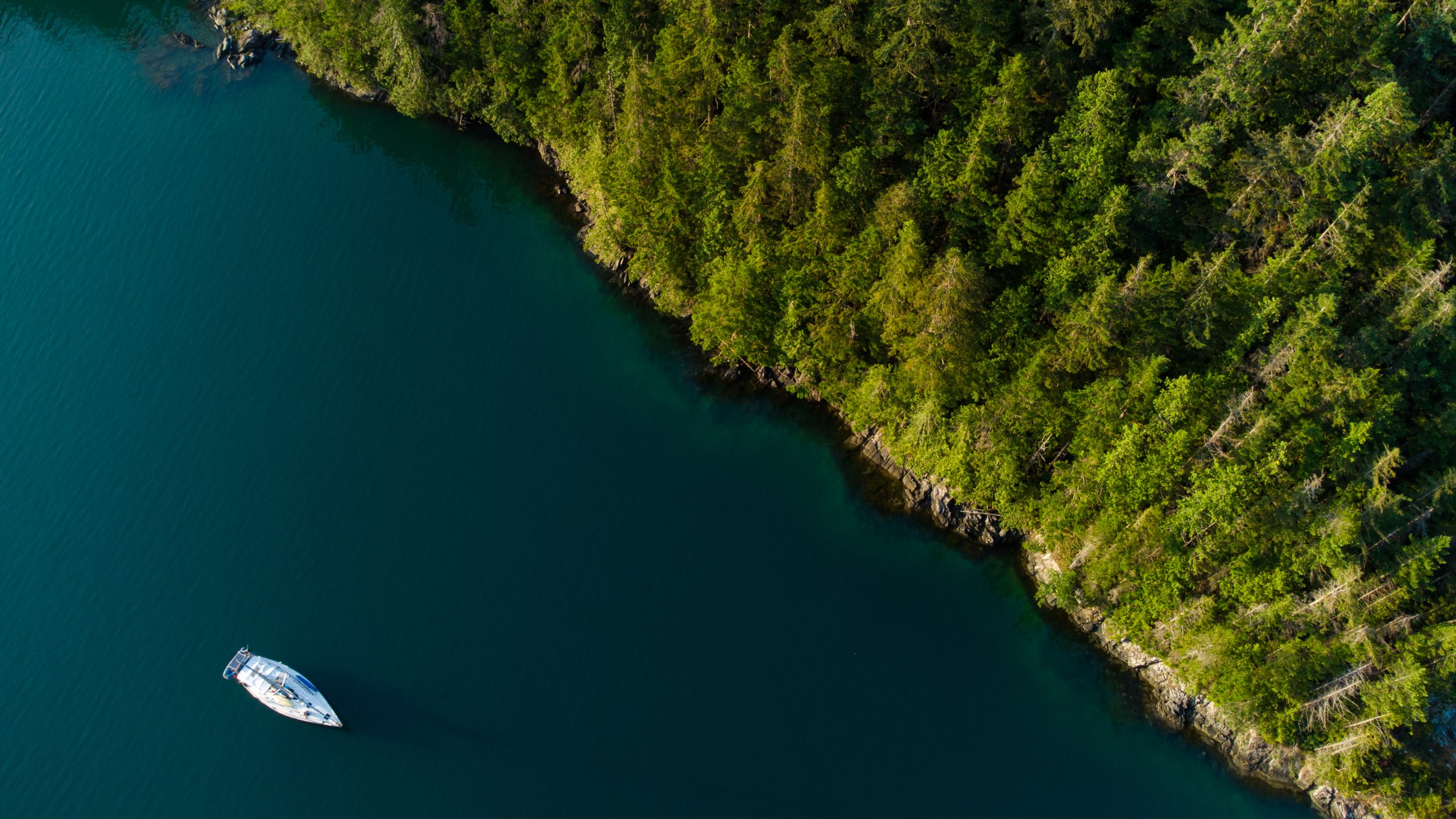 Aerial view of a sailboat in the water beside a piece of land covered in thick forest.