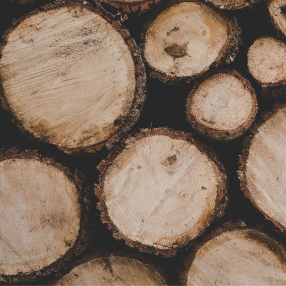 icon for mass timber - circular cross-section of wood