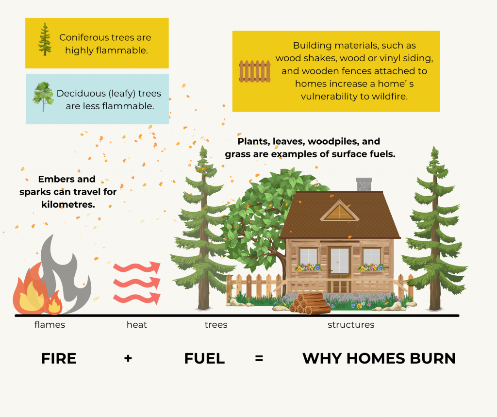 Fires can spread due to trees, surface fuels, and structures made of flammable building materials. Graphic made by Alexandria Jones (FireSmart™ Canada).