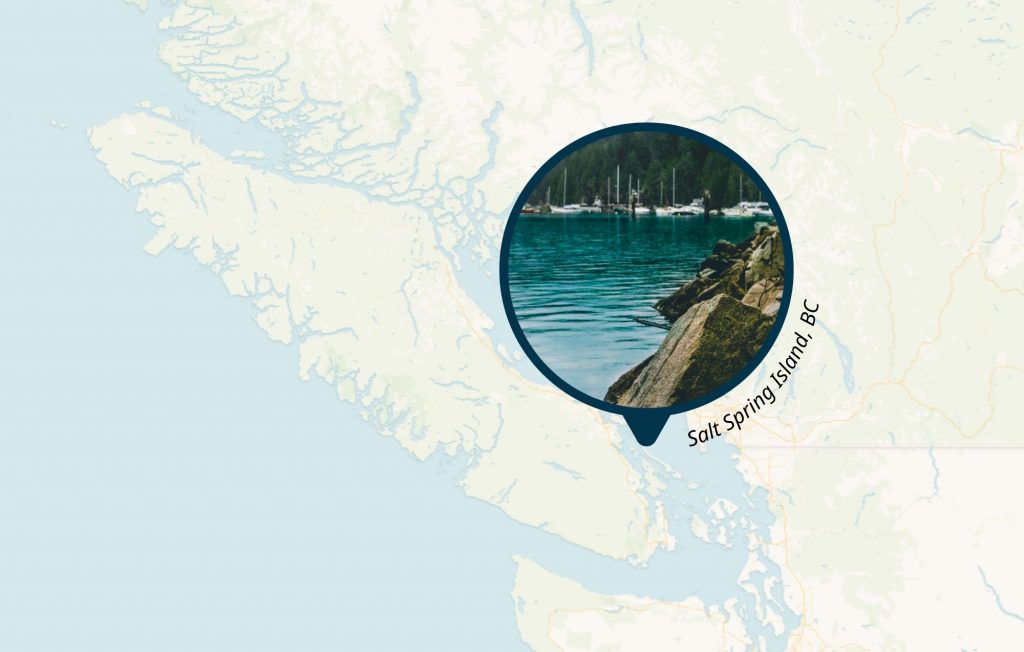 Cover photo for Terra Firma Builders. Photo of Salt Spring Island in a circular frame, with a map of the area in the background.