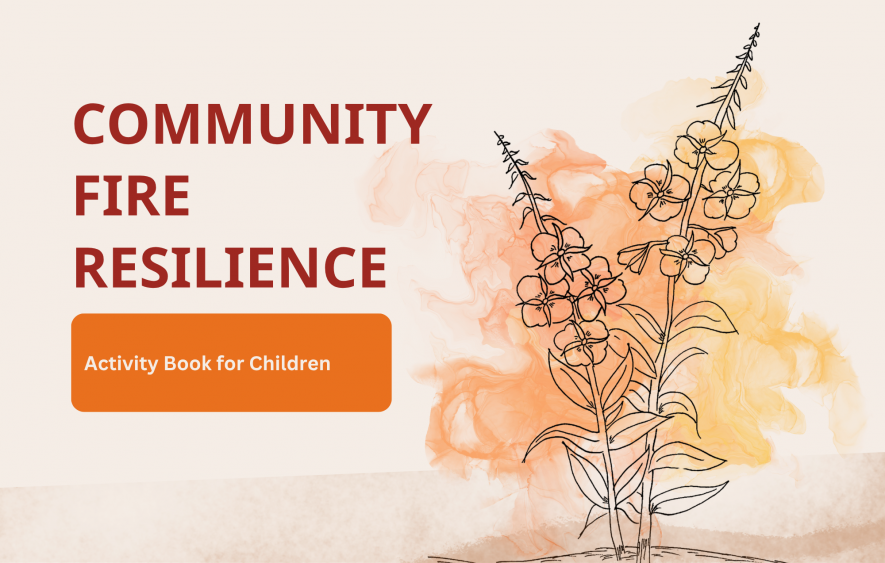 pdf icon for the children's fire handbook