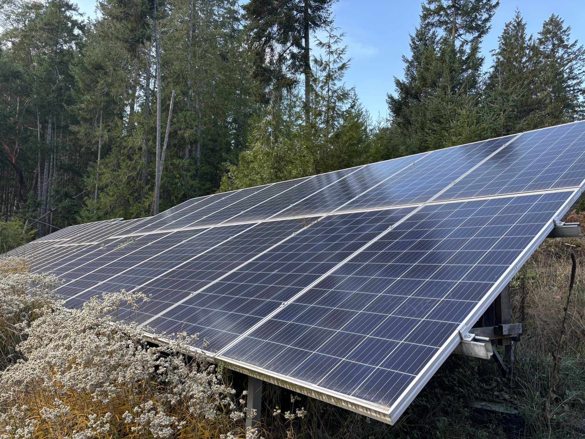 Solar panels at the Salish Sea Renewable Energy Co-op, Galiano Island. Photo: Charlotte Taylor.