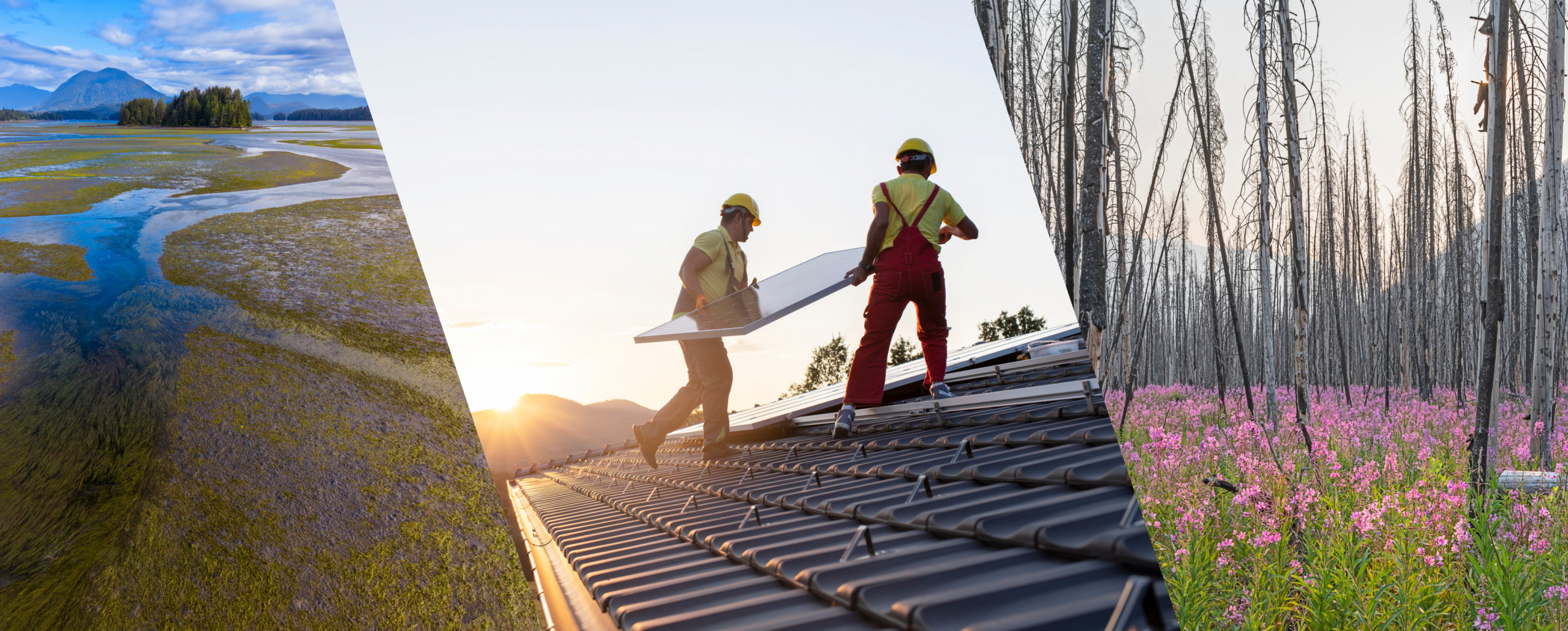 Three photos: Aerial image of the Tofino Mud Flats, Tofino, Vancouver Island, British Columbia; workers install solar panels on a roof; fireweed grows in the aftermath of a forest fire. All photos iStock.